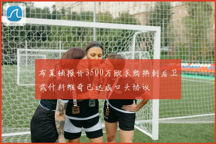 布莱顿报价3500万欧求购热刺后卫武什科维奇已达成口头协议